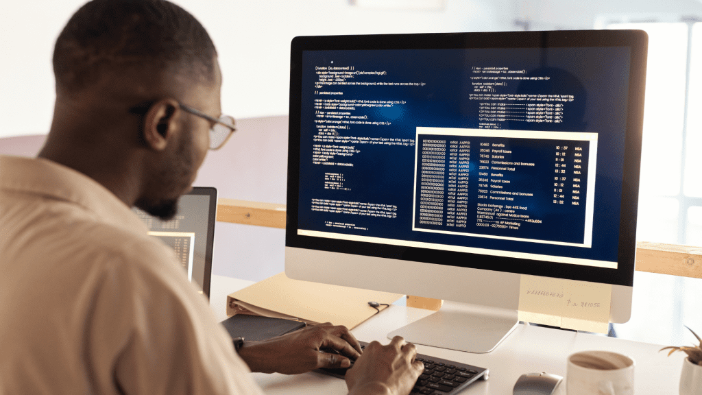 Software Developer